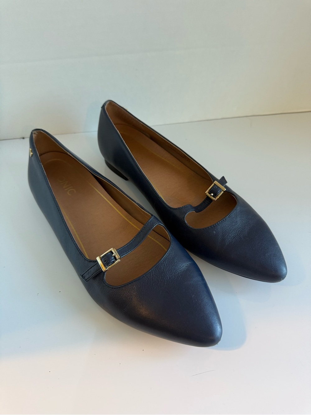 VIONIC Interview Outfit Classic Leather Classic Navy Mary Jane Pointed Flats 9.5